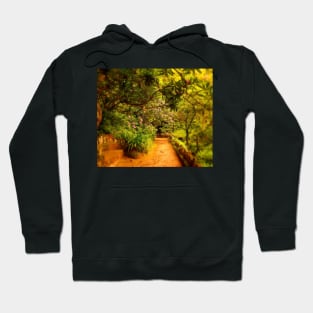 come with me... Hoodie